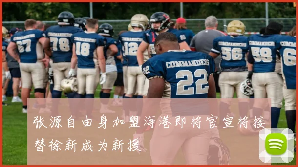 张源自由身加盟海港即将官宣将接替徐新成为新援