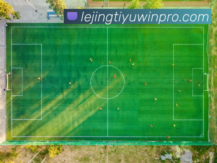 乐竟体育发展历程